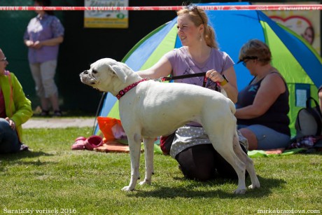 13217314_10204760936741694_3106183509797190631_o